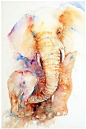 水彩艺术家 Arti Chauhan 笔下传神的动物水彩画作。
