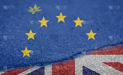 英国脱欧插画在开裂的背景上选择性地聚焦于英国和欧盟的旗帜。希望能和花做笔交易