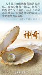 0311神奇（无日期）_张惠
#新精英日签# #新精英生涯# #生涯规划# #你的生命有什么可能# #生涯研习社# #经典句子# #金句#