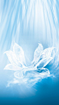 水花背景图_新图网 https://ixintu.com 蓝色 背景 水花 水浪 水珠 H5 花朵 质感 纹理