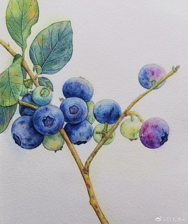 树上的蓝莓

投稿作者@玖七水彩

#遇...