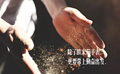 渴望的小白采集到文案储备