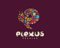 Plexus Puzzle Logo Design | Logo Design Gallery | LogoFury.com