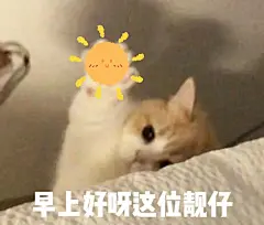 「早安」可爱小猫早安表情包合集 get✓