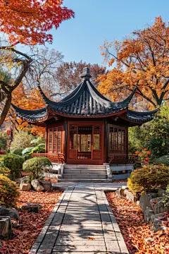 公园秋季自然风景