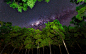 天空,星星,夜晚,光,树木,自然风光图片

