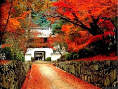 山青烟海采集到风景-名山大川