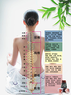 xiongqing006采集到中医美容