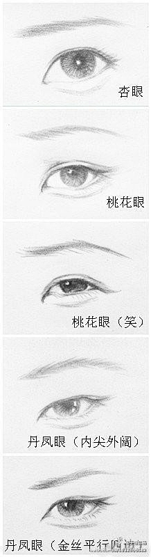 又又又又Double采集到眼睛