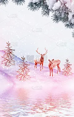 冰雪覆盖的树木。鹿