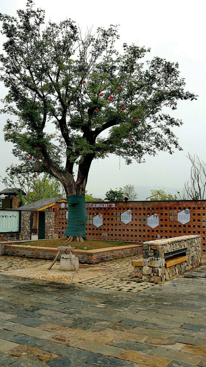 江宁美丽乡村之佘村