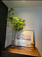 吊钟植物水养客厅吊钟花 植物 日本水培鲜切枝条日式马醉木进口树-淘宝网