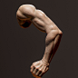 男性手臂雕刻