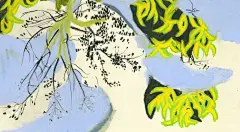 草稿式的假山5 - 小红书