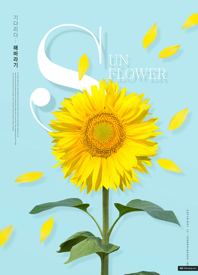 鲜花主题向日葵海报PSD模板_平面设计_...