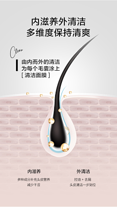 Mni菜小采集到头发 / 发根