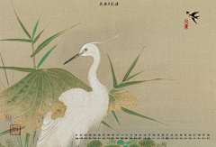 夭杳采集到壁上觀