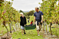 A man and his son carrying a plastic crate full of grapes through the vineyard. by Mint Images on 500px