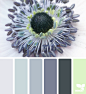 Design Seeds : Design Seeds color palettes ... posted daily for all who love color.