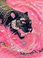 大黑猫 | 周一……豹姐为你蓄力～ - 小红书