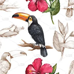 巨嘴鸟和芙蓉花图纸