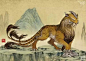 狰（zheng）： 章峨山中有一畏兽，五尾一角，吼叫声如雷劈石，以老虎豹子为食物。