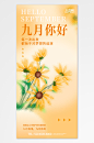 水波纹玻璃九月你好问候海报