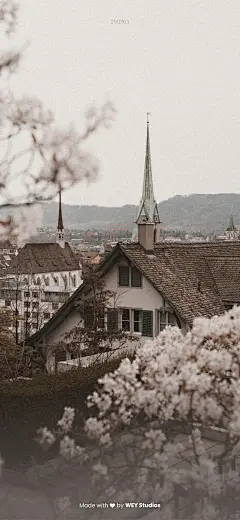 Daily Vision｜手机壁纸 250303 - 小红书