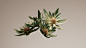 Plant botanical plants Nature beauty Fashion  design Advertising  branding  Brand Design