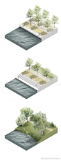 分享几组滨水景观断面分析图#景观空间设计# ​​​​