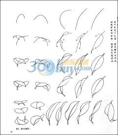 IqFC0B2f采集到白描素材