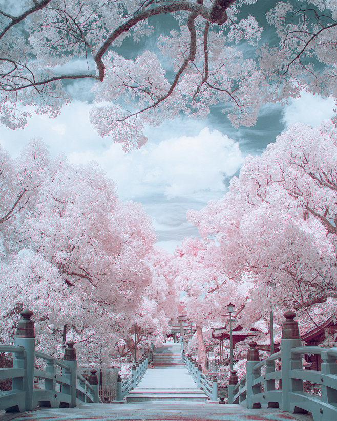 Infrared Photography...