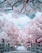 Infrared Photography of Dazaifu.