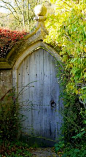 I am going to get an old door for the bottom of my garden, it's the "what is beyond" feeling you get when you see them!