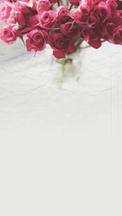 手机壁纸小清新简约_百度图片搜索