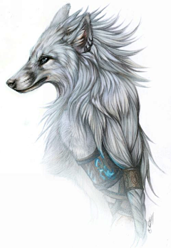 一组关于狼的手绘作品 - 插画图片_插画师_插画壁纸_场景插画_yidodo.