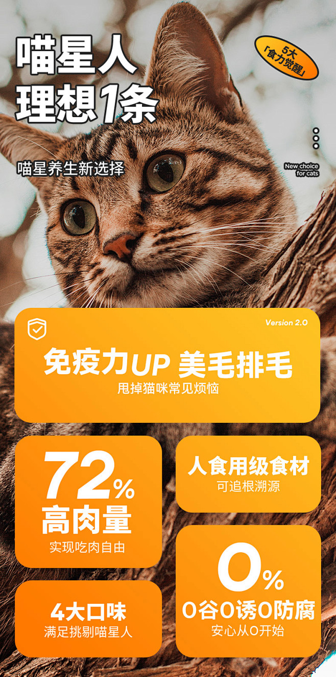 有鱼®Numbers猫条 猫咪零食营养增...