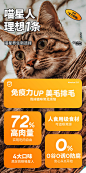 有鱼®Numbers猫条 猫咪零食营养增肥湿粮包罐头幼猫成猫15g*10条-tmall.com天猫