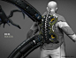 (93) Pinterest