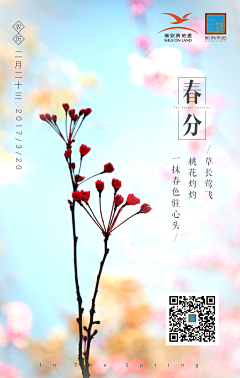 王权富贵92222采集到节日