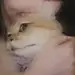未妨惆怅是轻狂_