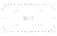 华丽的,手工着色,植物群,线条,贺卡,纯净,常春藤,背景分离,边框,枝繁叶茂