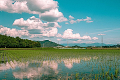 wildmountain采集到A君和O君