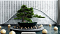 新中式水景3d模型