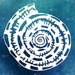 在海洋中的贝壳