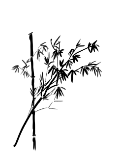 中国风水墨竹子图片古风竹叶竹林水彩手绘插画PNG免扣 PS设计素材