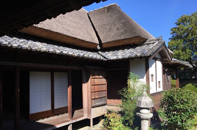 日式芦苇屋顶