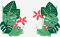 热带棕榈叶标题框