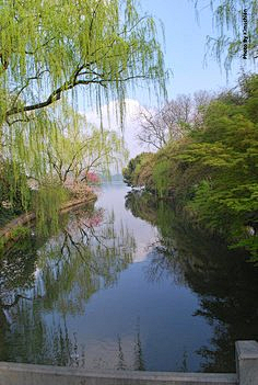 在下庄挺采集到杏花春雨江南