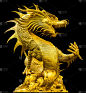 龙,黄金,雕像,垂直画幅,符号,巨大的,动物身体部位,雕塑,远古的,金色
